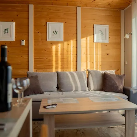 Rajbi שצ'צ'ירק