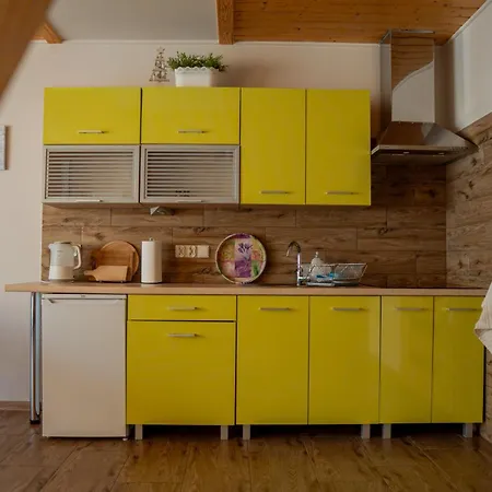 Rajbi * שצ'צ'ירק